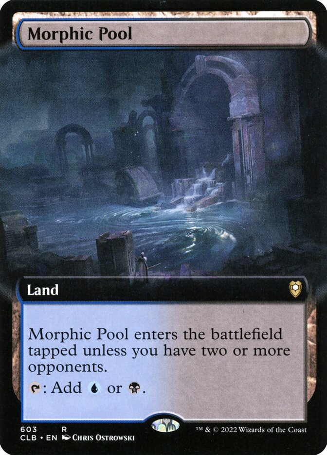 Morphic Pool (Extended Art)