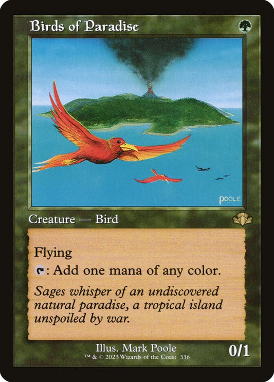 Birds of Paradise (Retro Frame)