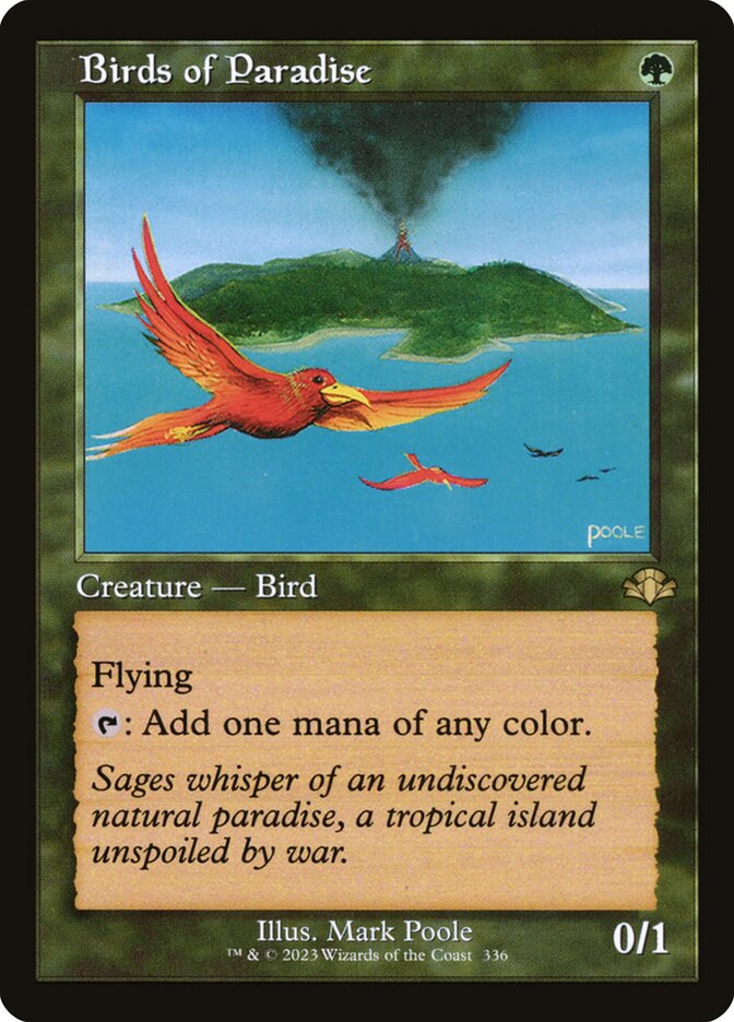 Birds of Paradise (Retro Frame)
