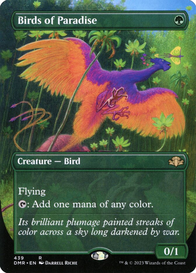 Birds of Paradise (Borderless)